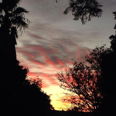 Artkaroo Stay Oudtshoorn Bagian luar foto
