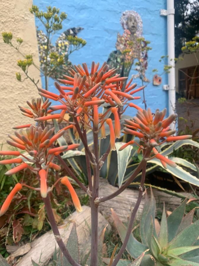 Artkaroo Stay Oudtshoorn Bagian luar foto