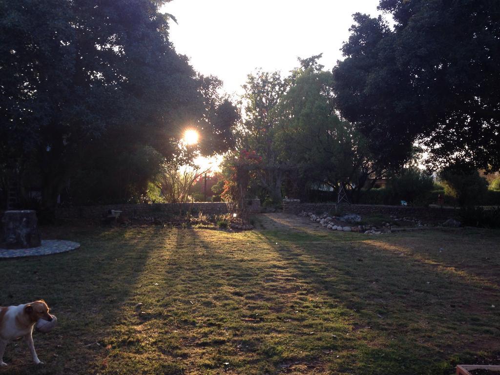 Artkaroo Stay Oudtshoorn Bagian luar foto
