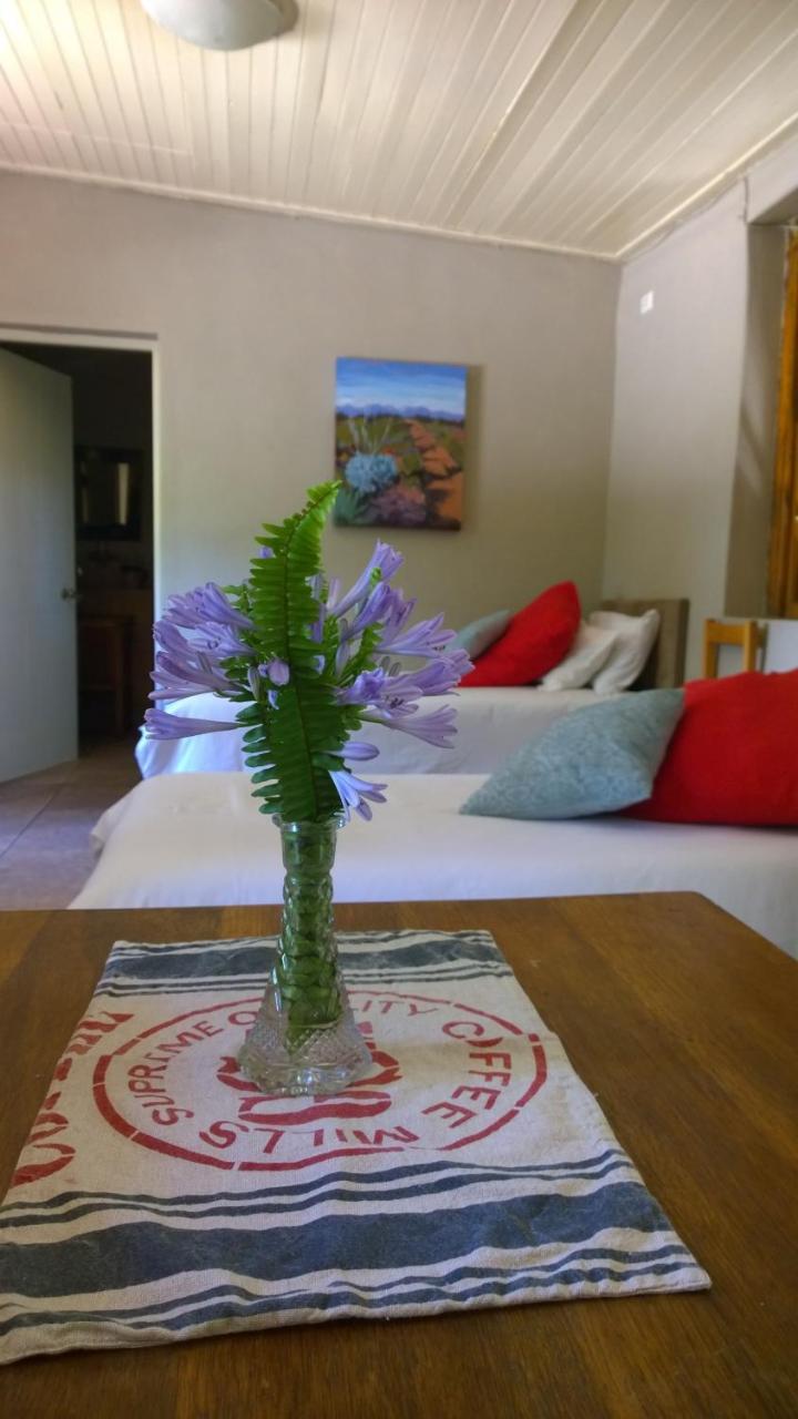 Artkaroo Stay Oudtshoorn Bagian luar foto