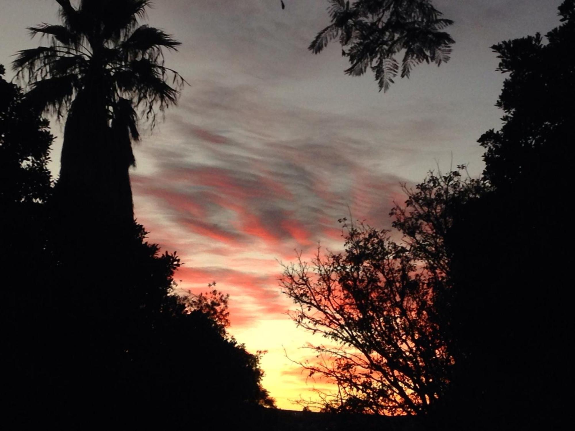 Artkaroo Stay Oudtshoorn Bagian luar foto